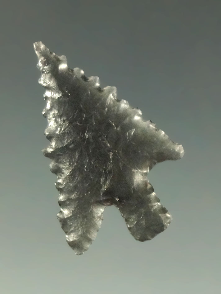 1" obsidian Calapooya point with nice edge serrations - northern California. Ex. Shewey.