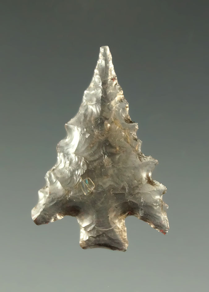 15/16" Calapooya point - nicely serrated, perfectly flaked and highly translucent. California.