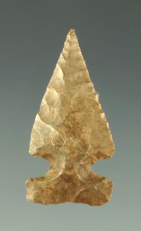 1 1/8" Reed point found in Oklahoma. Ex. Gus Bubenzer collection.