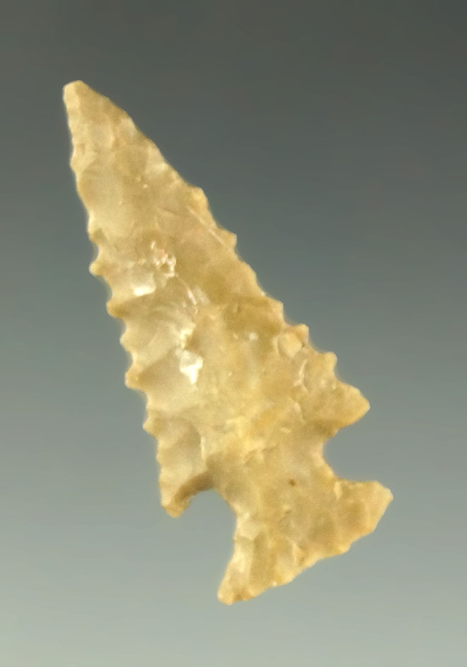 1 1/4" Sequoyah point found in Arkansas. Ex. Danny Bower, James Johnson collections.