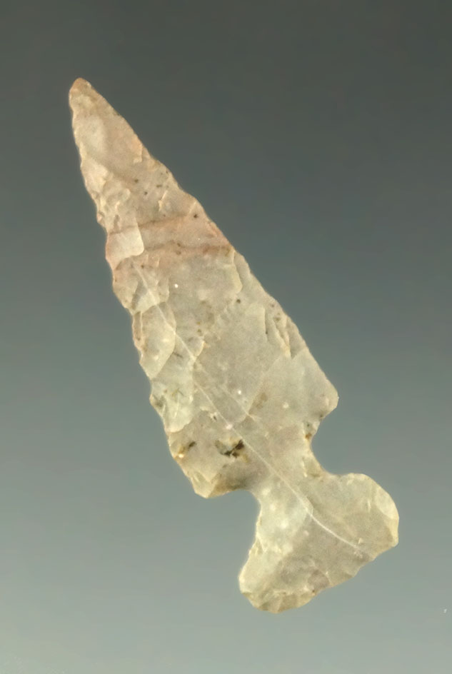 1 1/4" Sequoyah point found in Oklahoma. Ex. Charles Shewey collection.