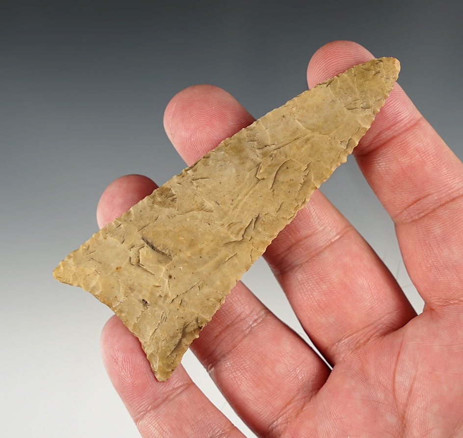 Beautiful flaking on this 3 3/4" Darl Blade found in Texas.