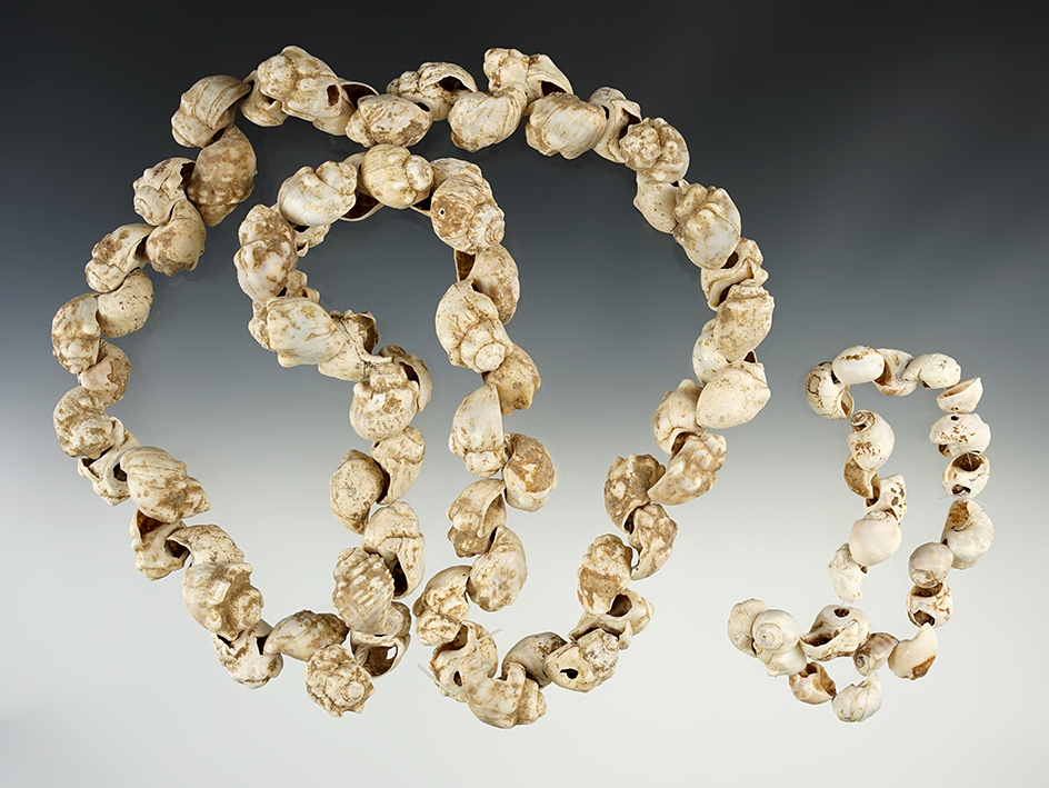 Pair of Shell Necklaces in good condition. One is a 30" strand and the other a 9" Strand.