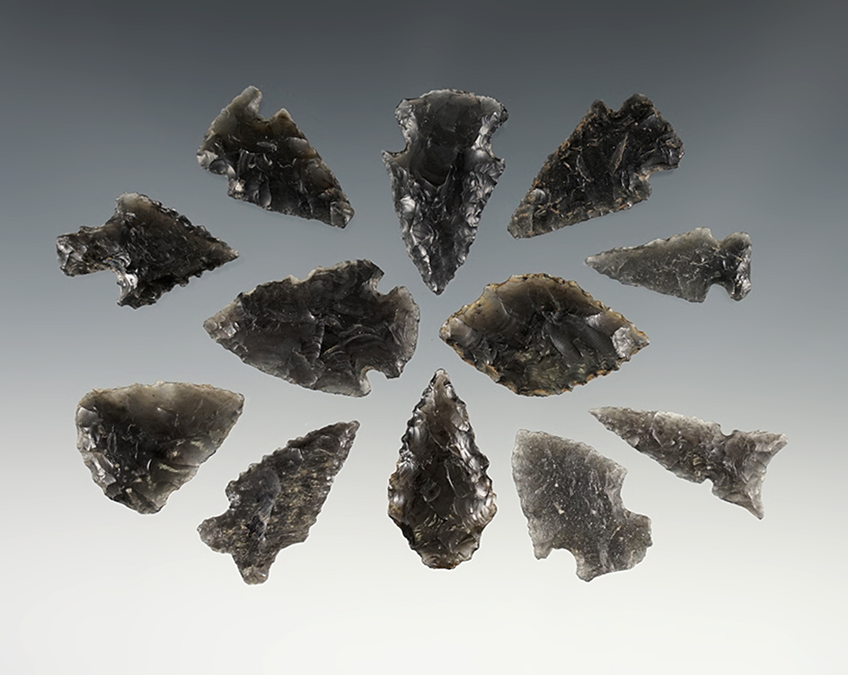 Set of 12 Obsidian points found in New Mexico. The largest is 1 7/16".