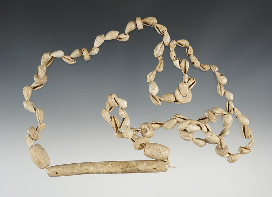 Nice 30" Shell Necklace found at a Mississippian Site in Hamilton Co., Ohio.