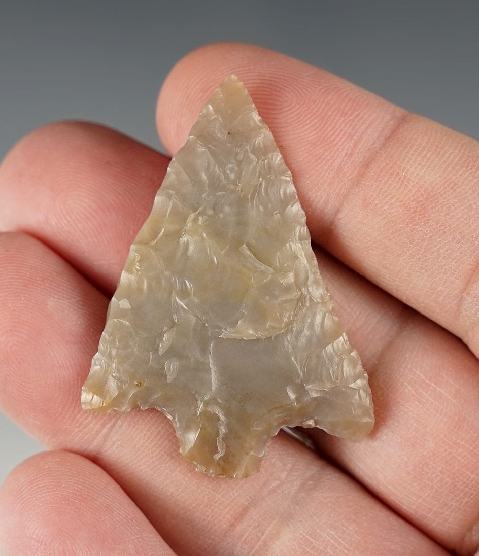 Finely made 1 13/16" Gypsum Cave found in Oregon.