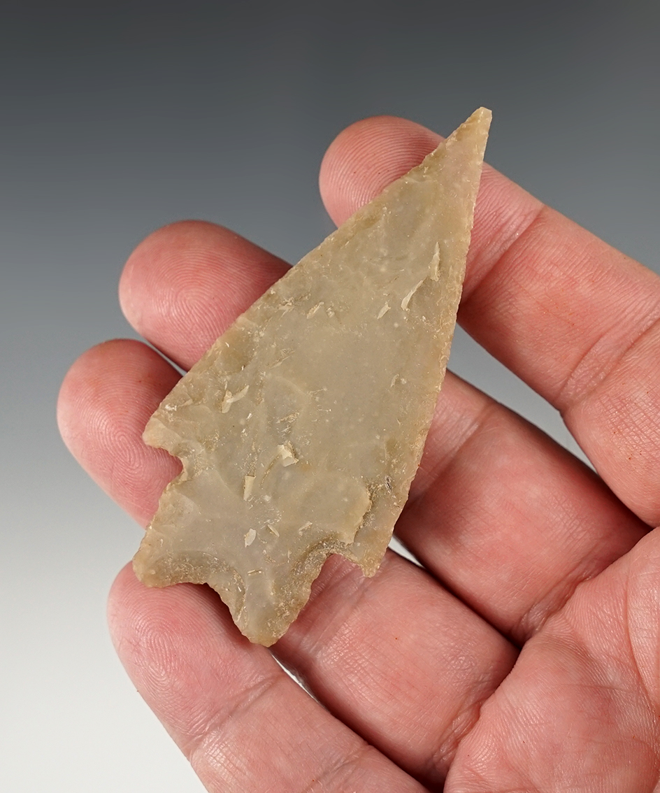 Nice 2 15/16" Pedernales found in Central Texas.