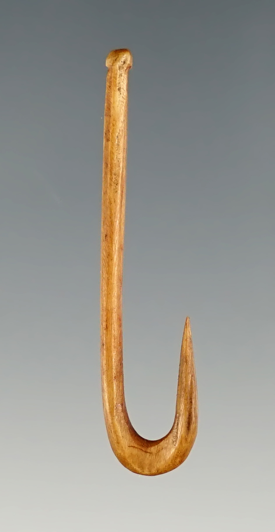 Incredible 1 1/2" Fish Hook made from bird bone. Found in Anderson Co., Kentucky.