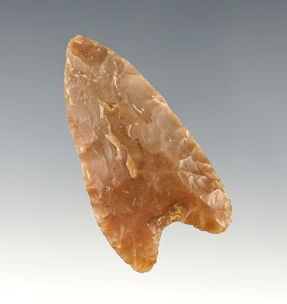 1 13/16" McKean Lanceolate found by Tommie Heible in Campbell Co., South Dakota.