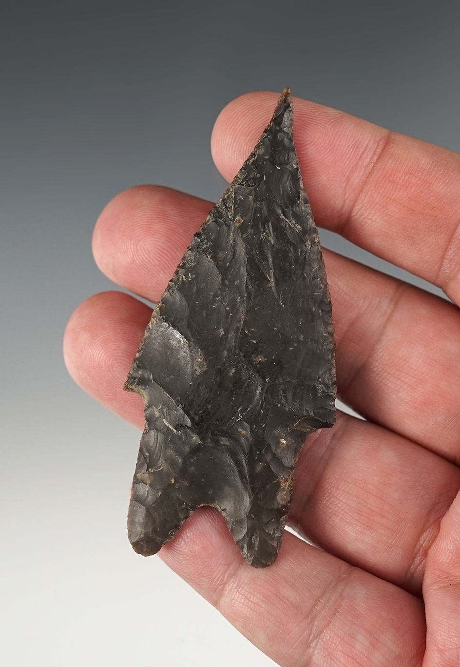 3 1/16" Pedernales found in Bandera Co., Texas. Well made with great flaking. Ex. Bill Arnold. COA.