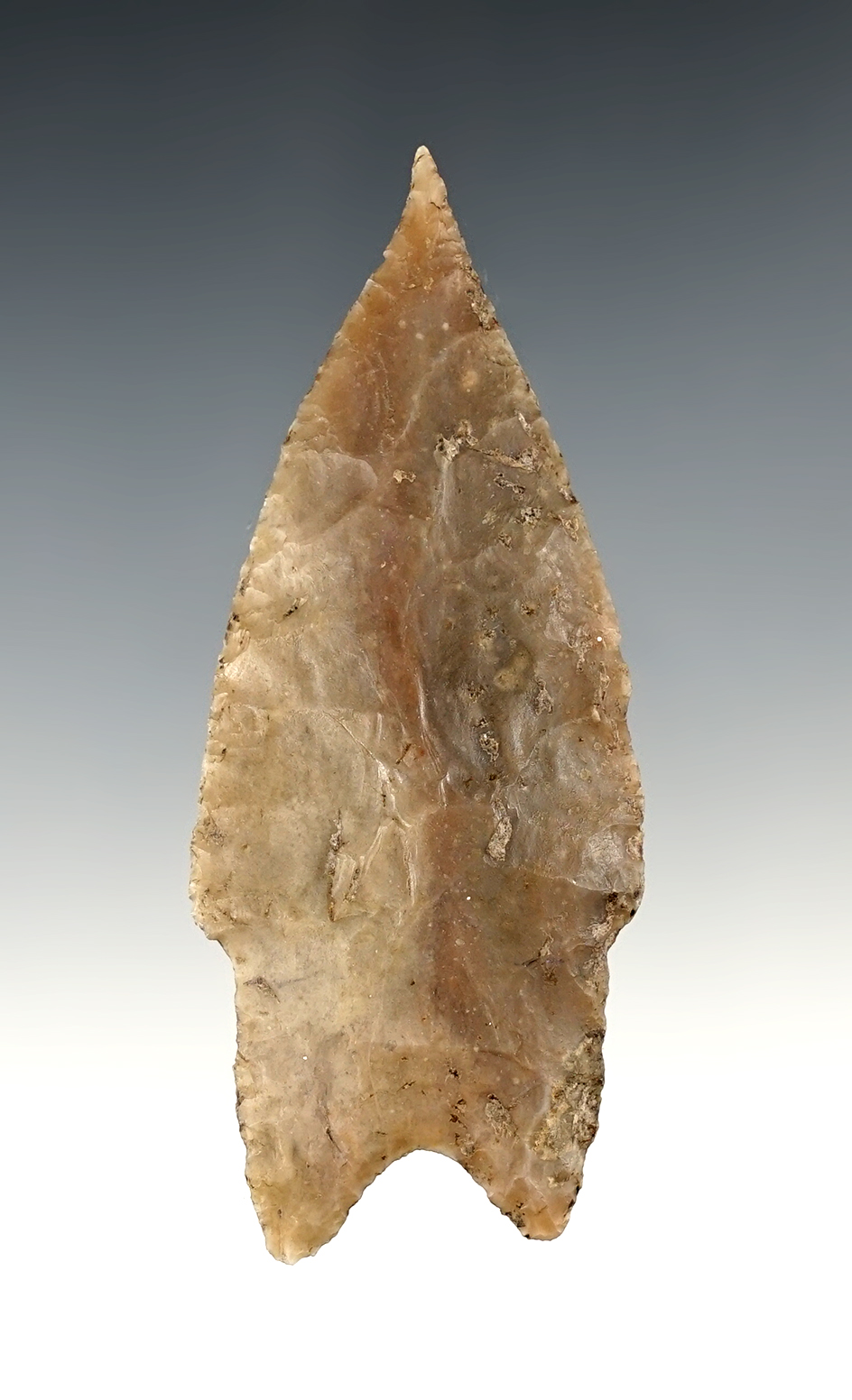 Colorful 3 1/4" Pedernales found in Texas. Comes with a Bennett COA.