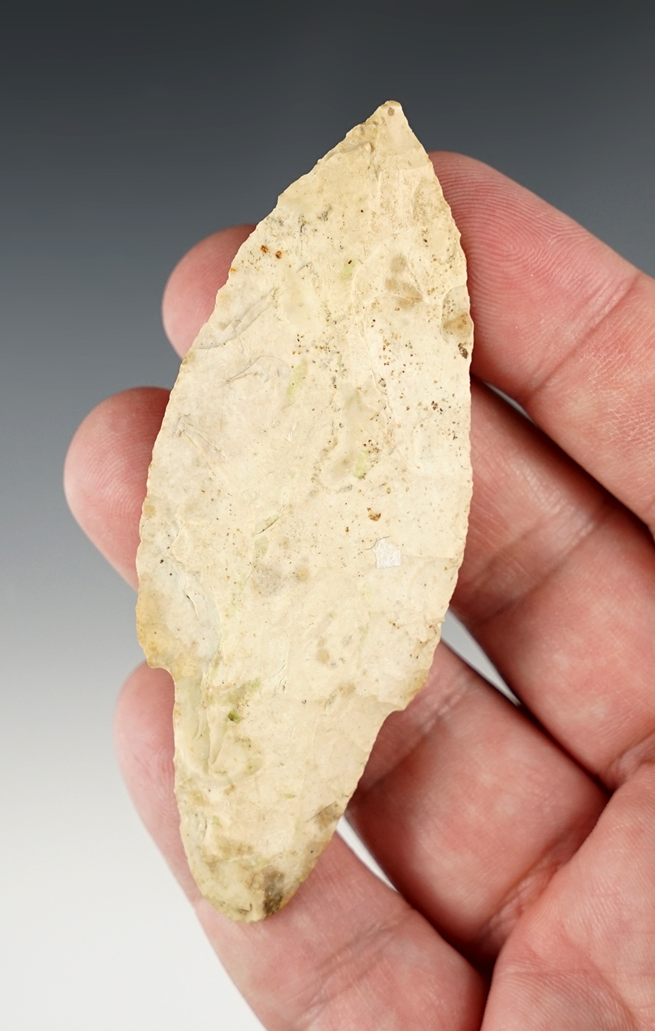 Nice 3 7/16" Waubesa found in Benton County Missouri.