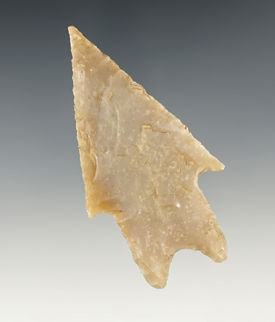 2 13/16" Pedernales found in Edwards Co., Texas. Well made from tan chert. Rogers COA.