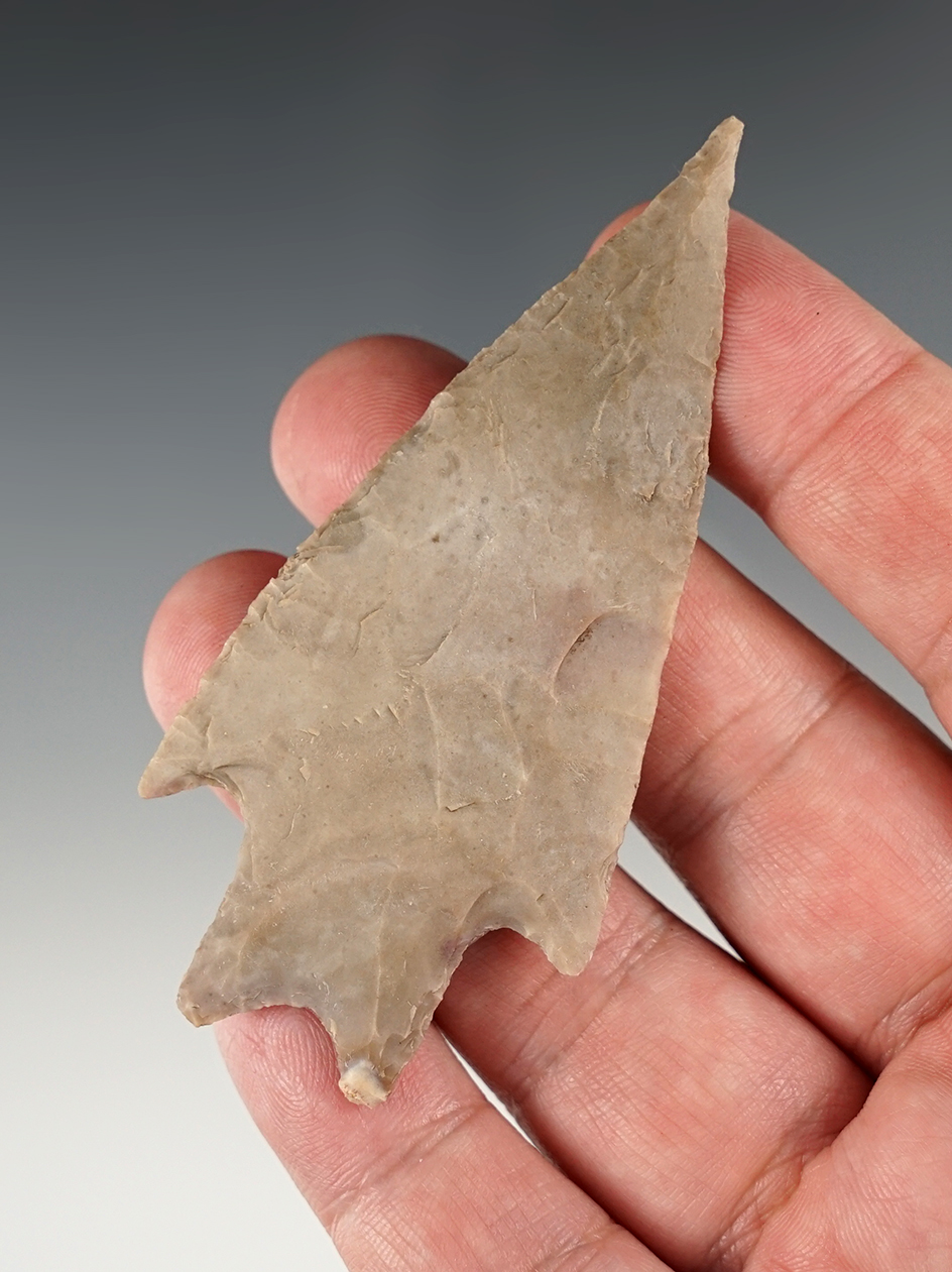 Fine 3 5/16" Pederanles found in Real Co., Texas. Ex. Bill Arnold collection. Rogers COA.