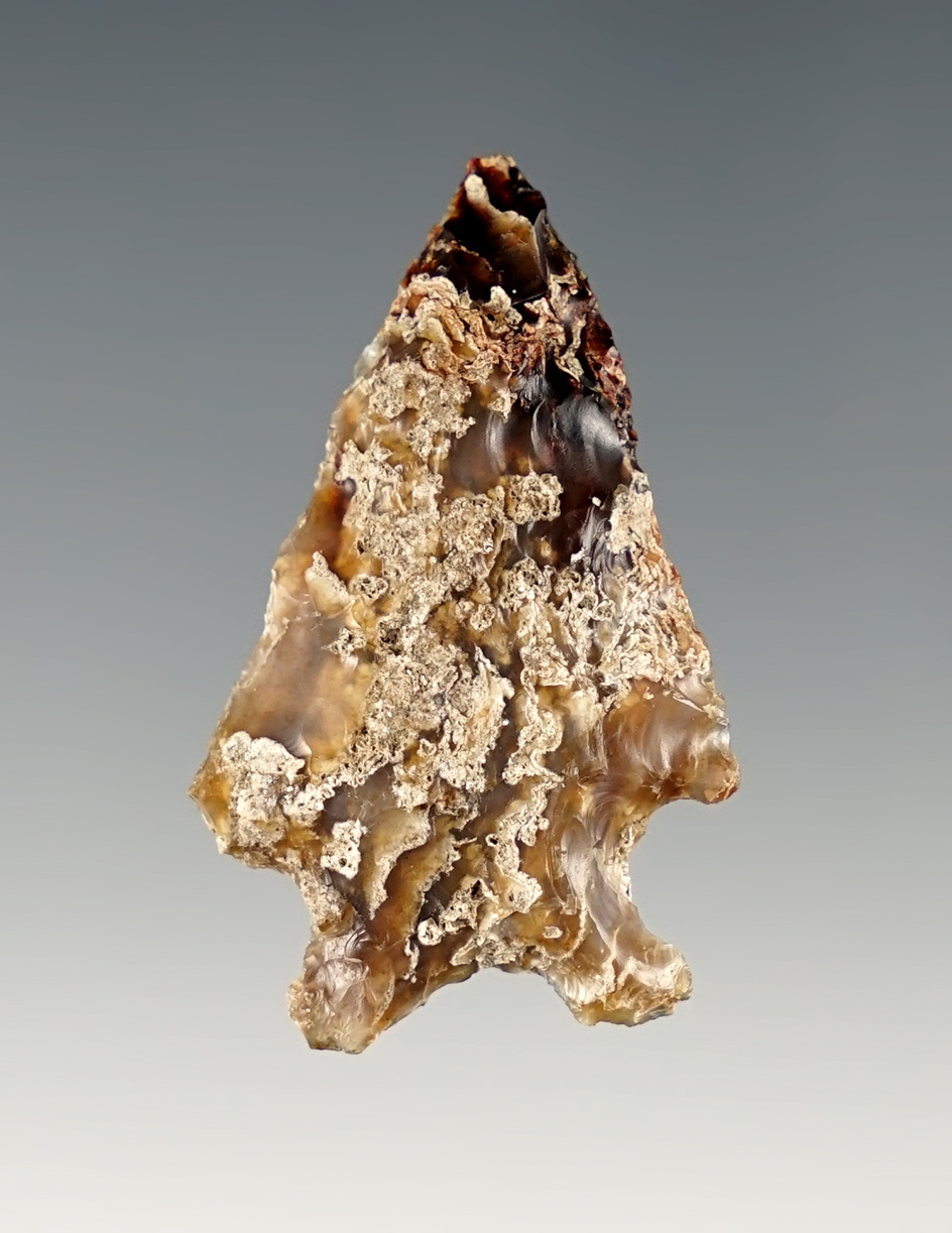 Unique style on this 1 11/16" point found in Whitman Co., Washington.