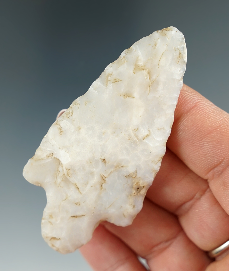 2 3/4" stemmed point made from agatized coral found in Pasco Co., Florida.