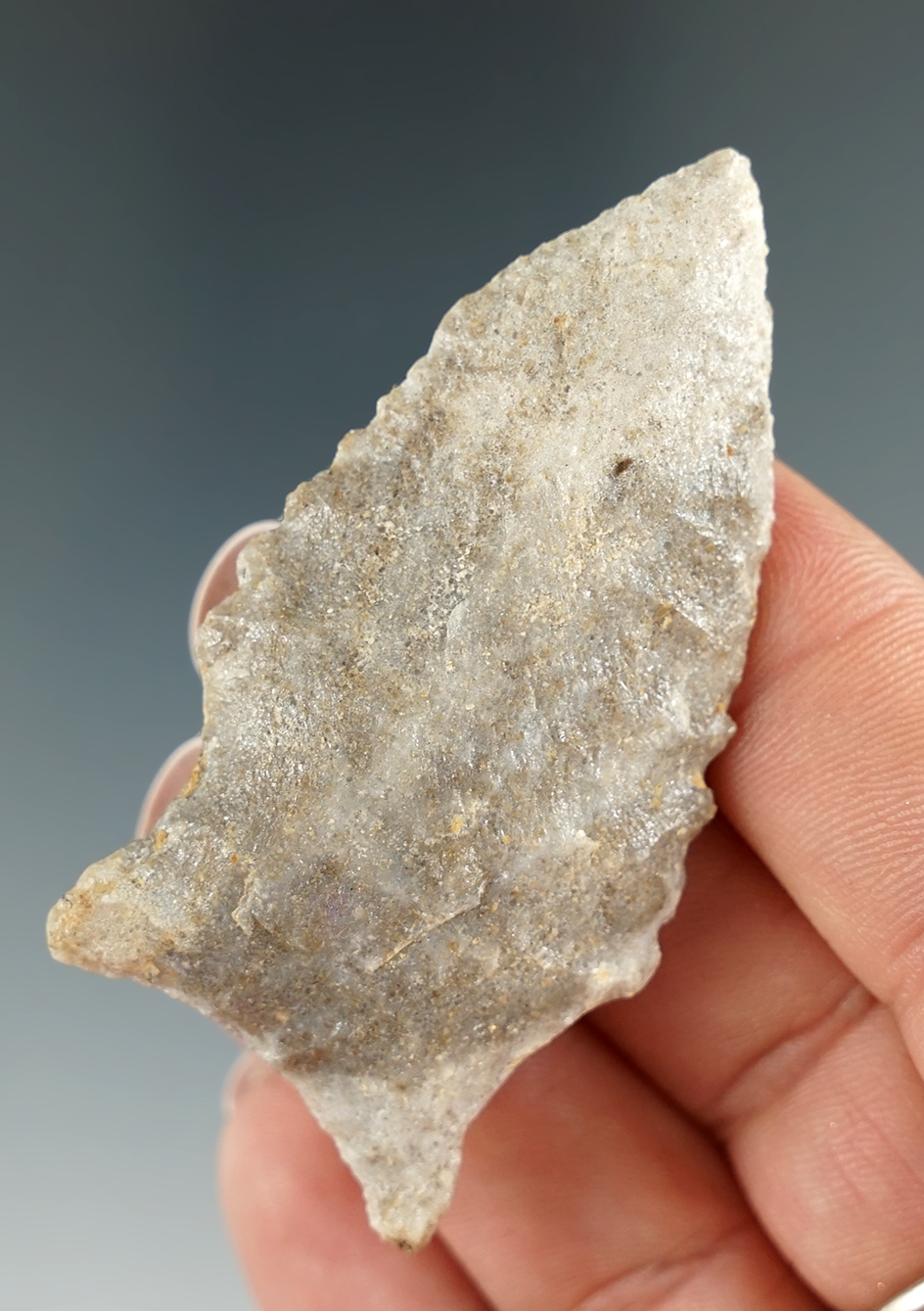 2 1/2" Talahatta quartzite Knife found in Alabama.