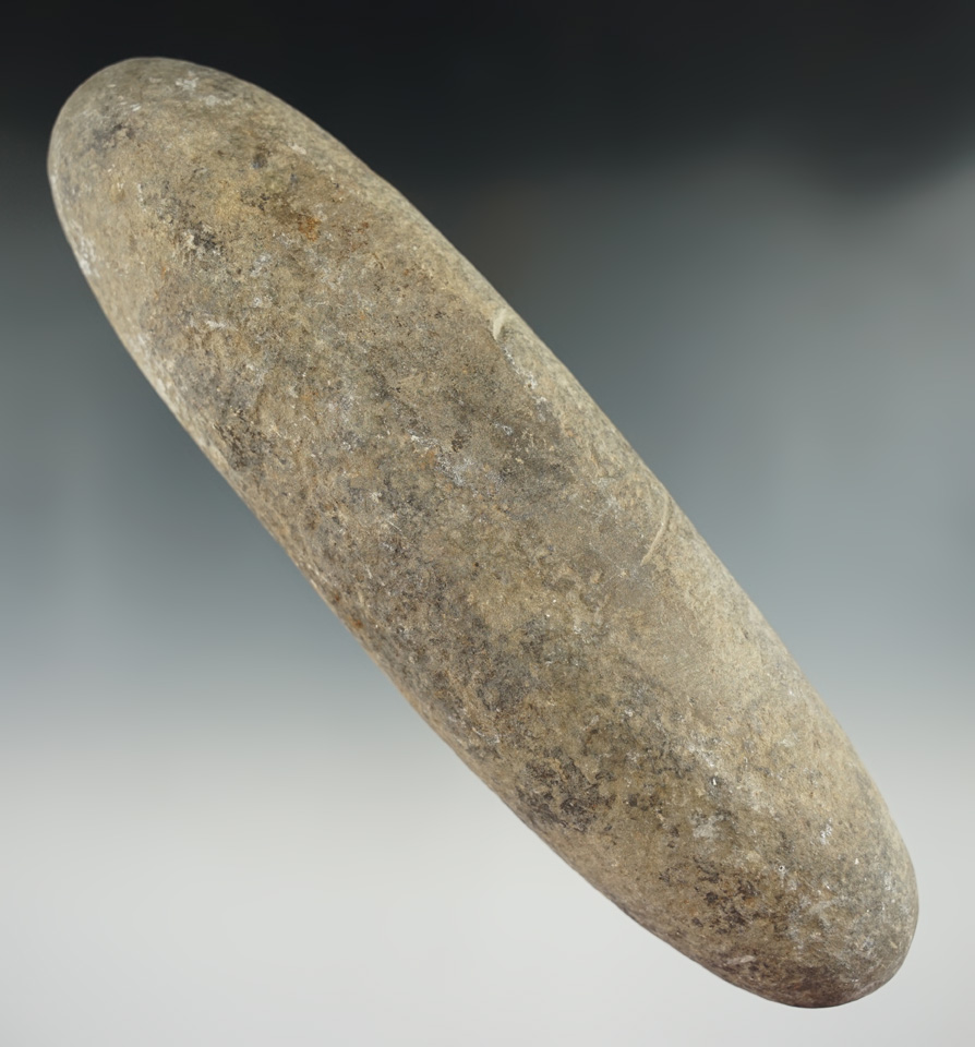 7 3/4" Roller Pestle found in Pennsylvania.