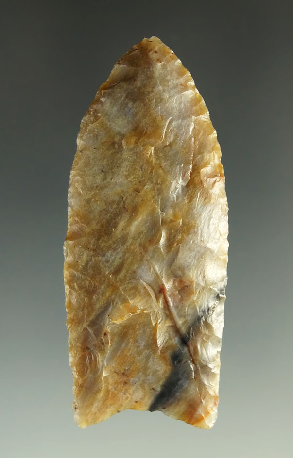 Sale Highlight! 2 3/16" Paleo Clovis found in Larimer County Colorado. Stermer and Jackson COAs.