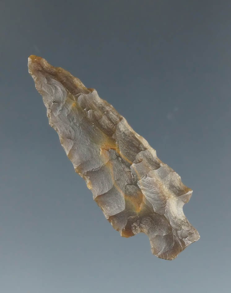 1 9/16" Rose Springs point made from black Agatized Wood found in San Juan, New Mexico.