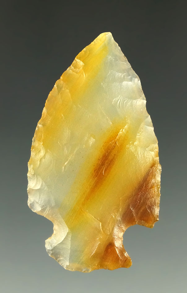 1 5/8" Cornernotch-highly translucent Agatized Elizabethan petrified wood - NE Colorado.