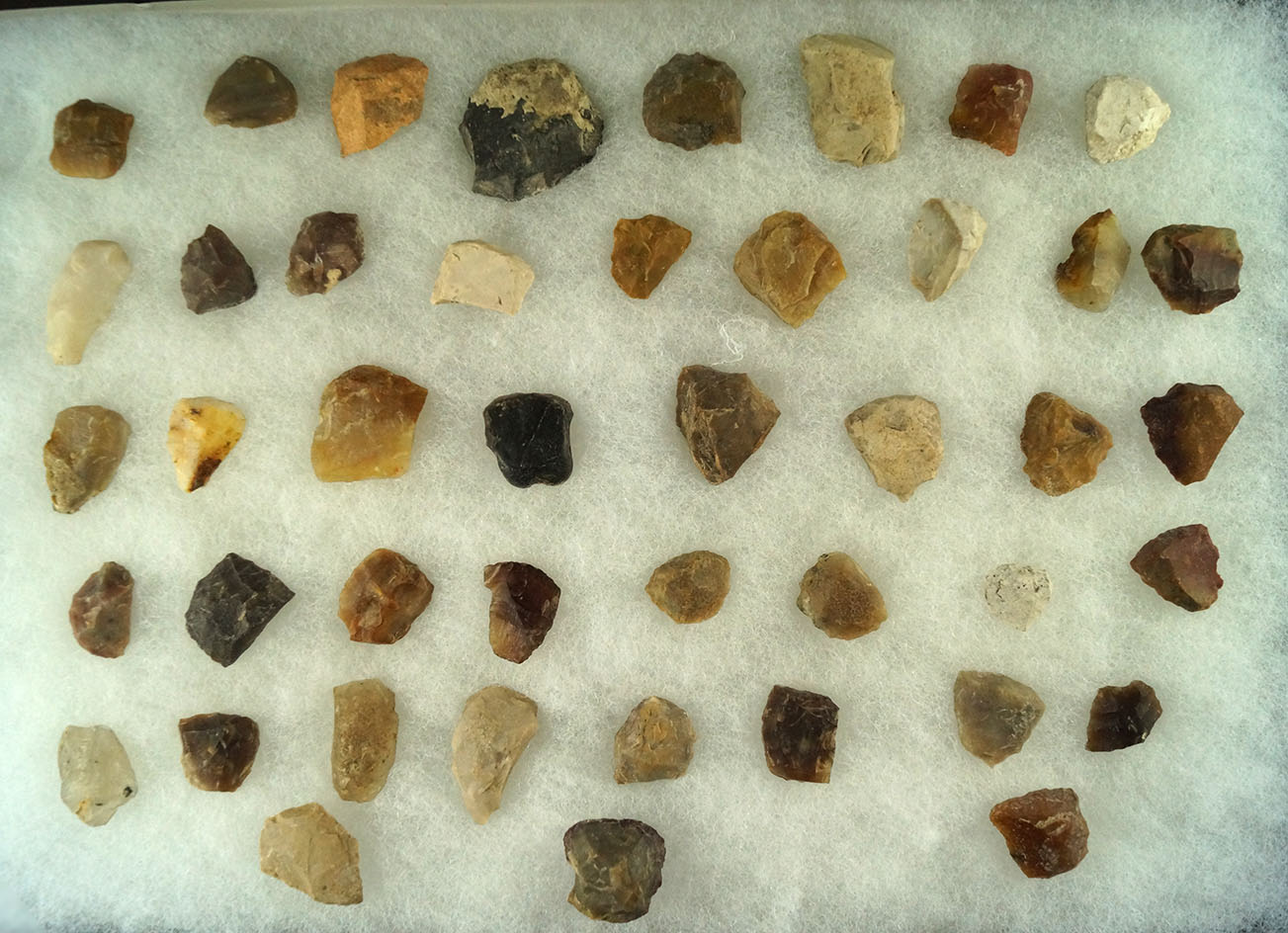 Group of assorted Scrapers found in Walworth County South Dakota. Largest is 1 1/8".