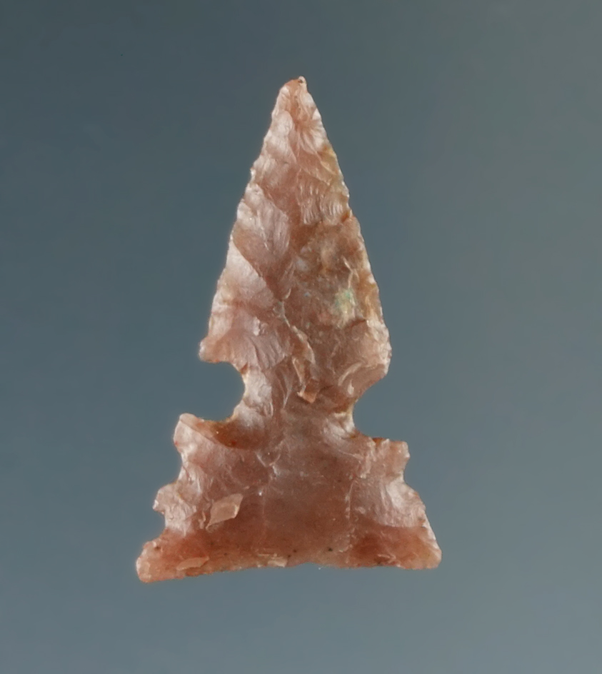 13/16" Bird point found in Kansas.