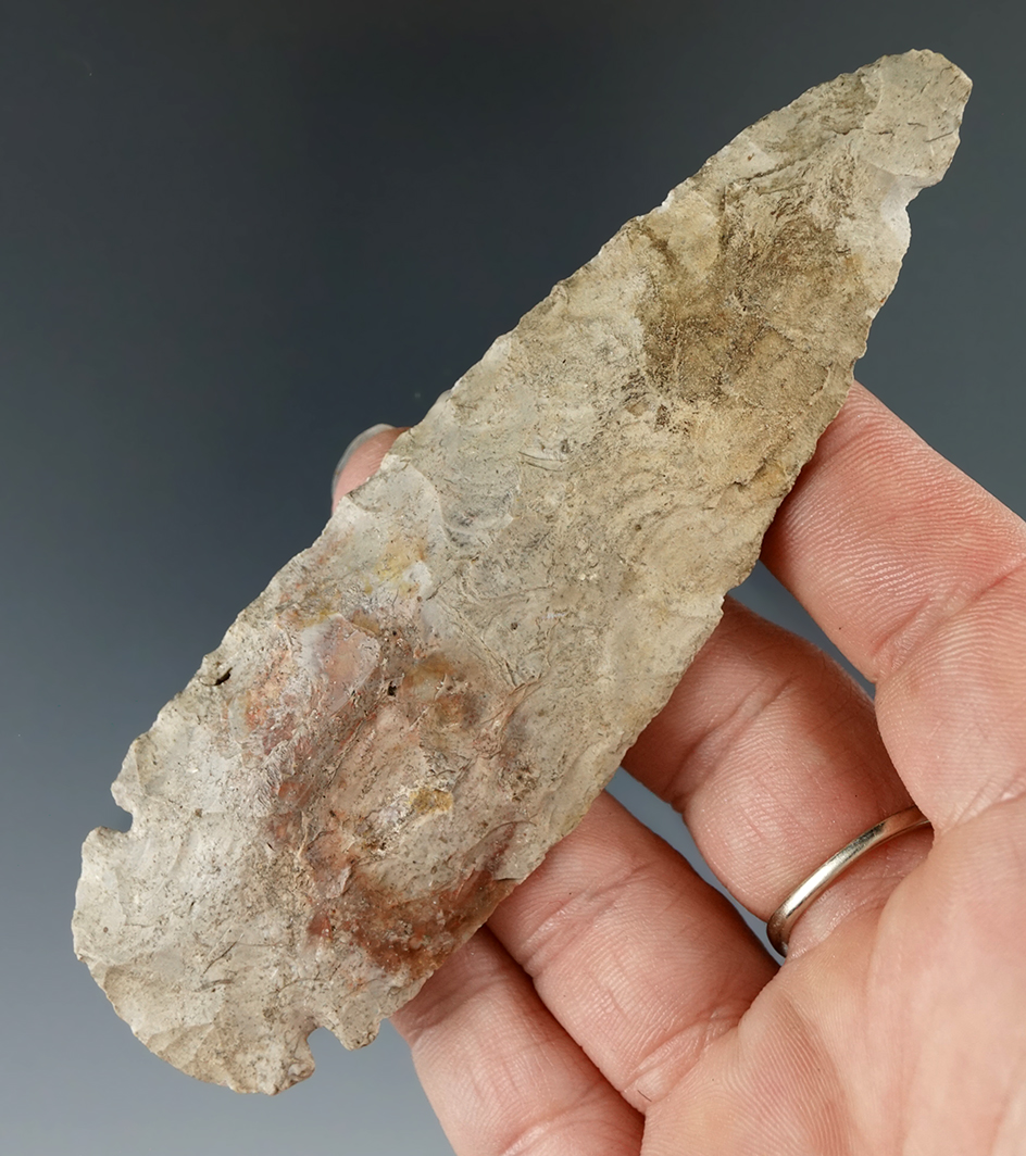 4 1/4" Dovetail found in Michigan.