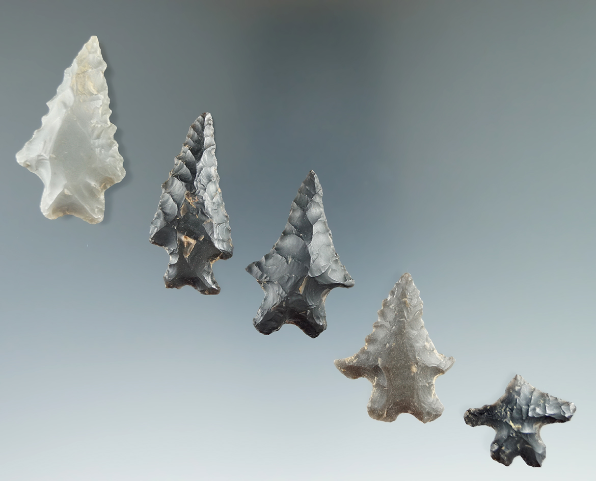 Set of five points found along the big moccasin Creek, Russell County Virginia. Largest is 1 9/16".