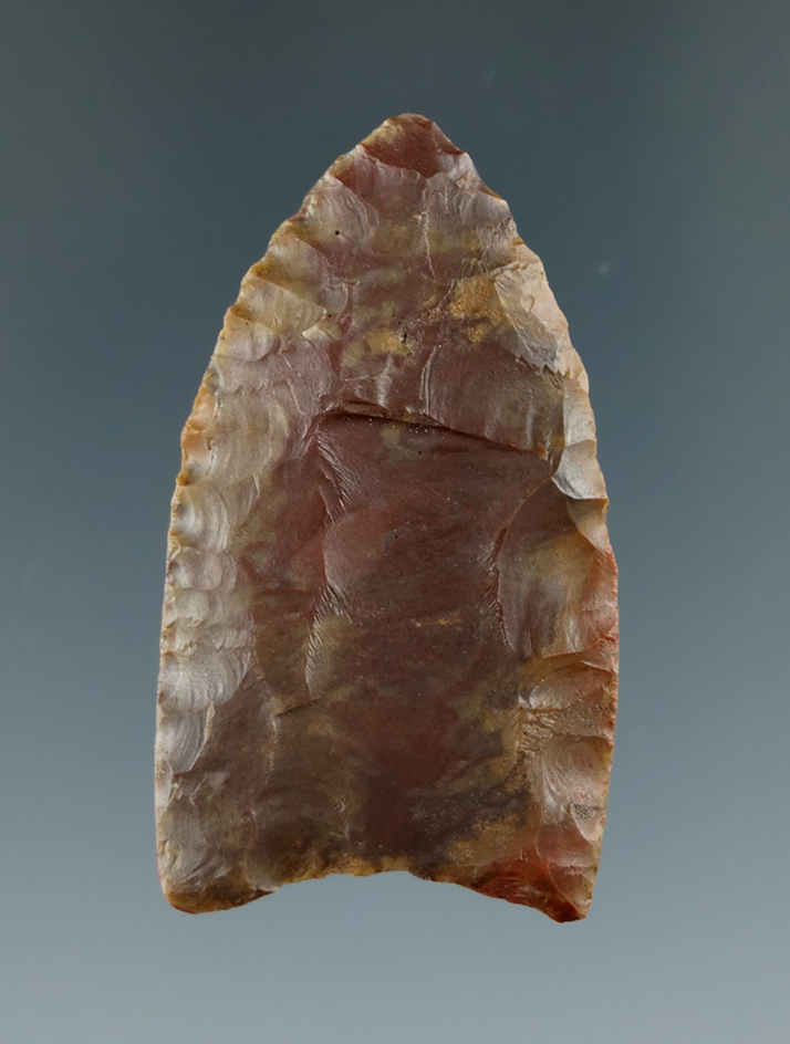 1 7/8" Paleo Clovis found in Pennsylvania. Comes with a Bennett COA.