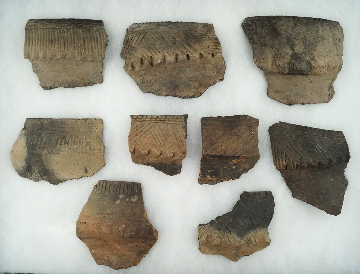 Nice selection of nine 17th century pottery rim shards found in Montgomery County NY.