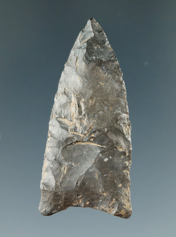 1 7/8" Fluted Paleo Clovis found in Dauphin County, Pennsylvania. Comes with a Bennett COA.