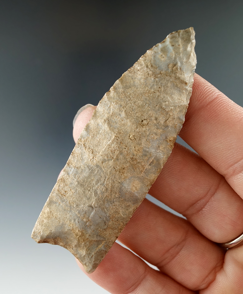 2 7/8" Paleo Lanceolate with heavily ground lower edges, found in Searcy County Arkansas.