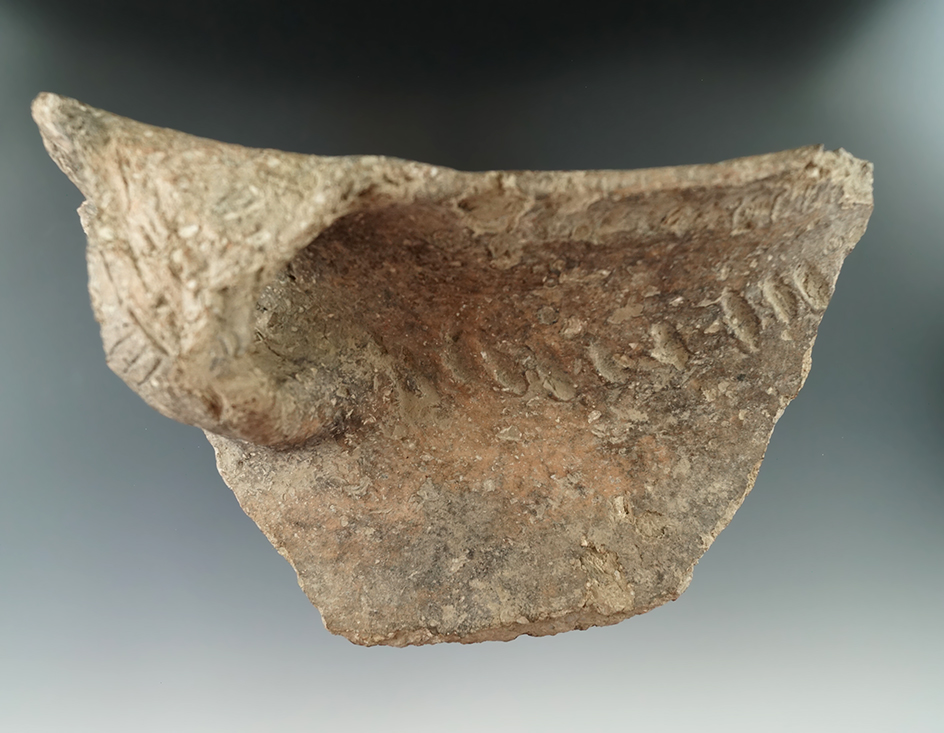 Large 7 3/4" pottery shard found 3 miles northeast of point Pleasant, West Virginia near the Ohio Rv