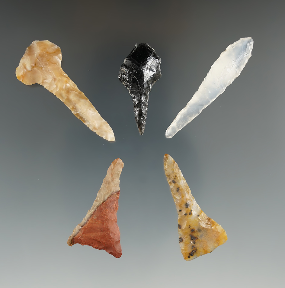 Five Columbia River Drills. Longest is 1 7/8". Found near the Columbia River, OR.