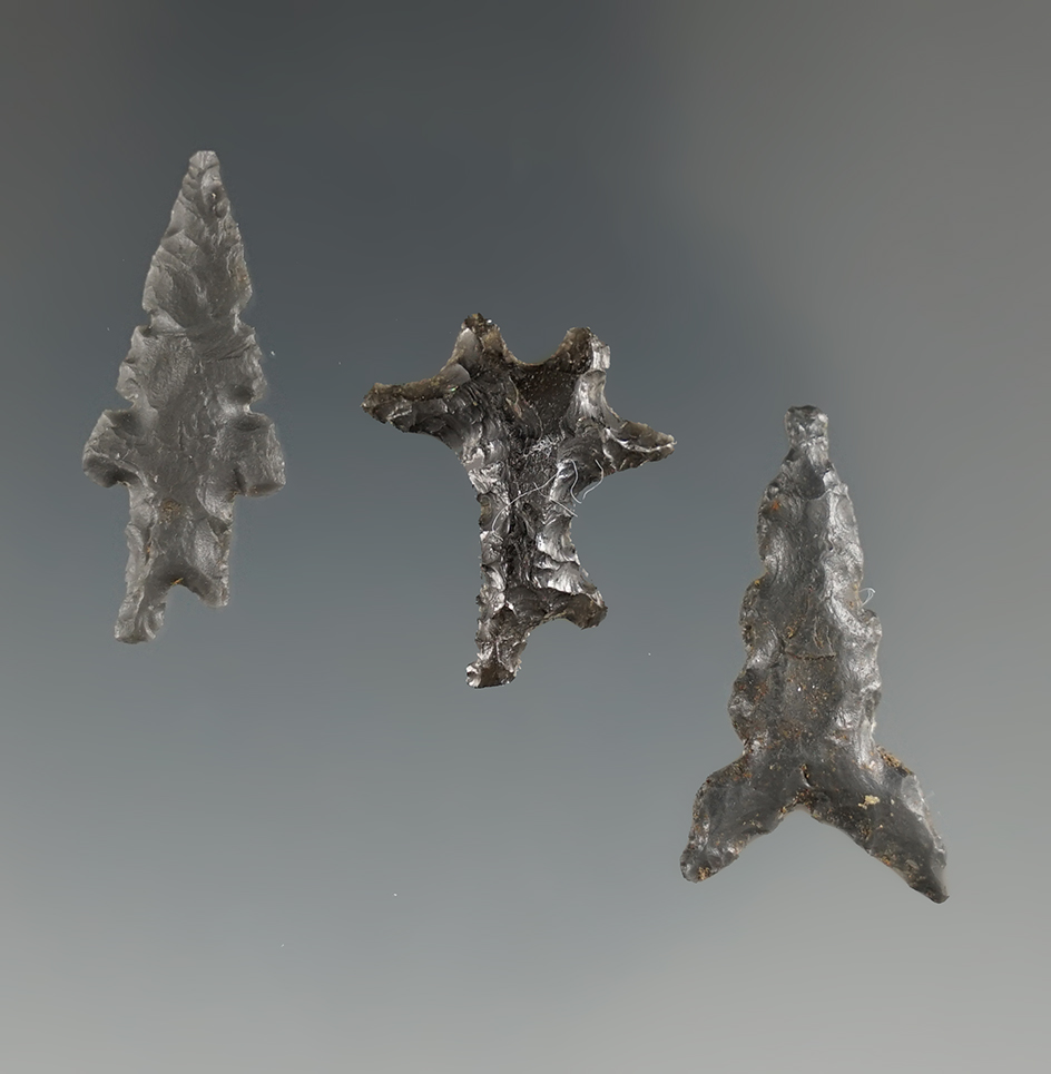 Three Exotic pieces. Pictured in Overstreet #8, pg. 1196. Found in the Great Basin, OR.