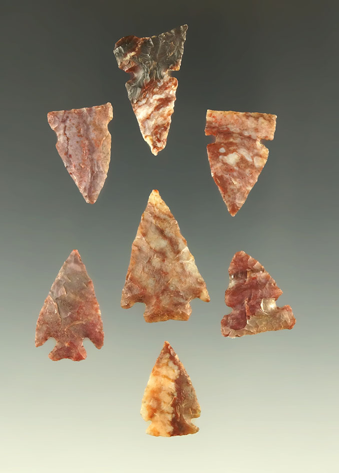 Set of seven Alibates Flint arrowheads found in Kansas, largest is 1 1/16".