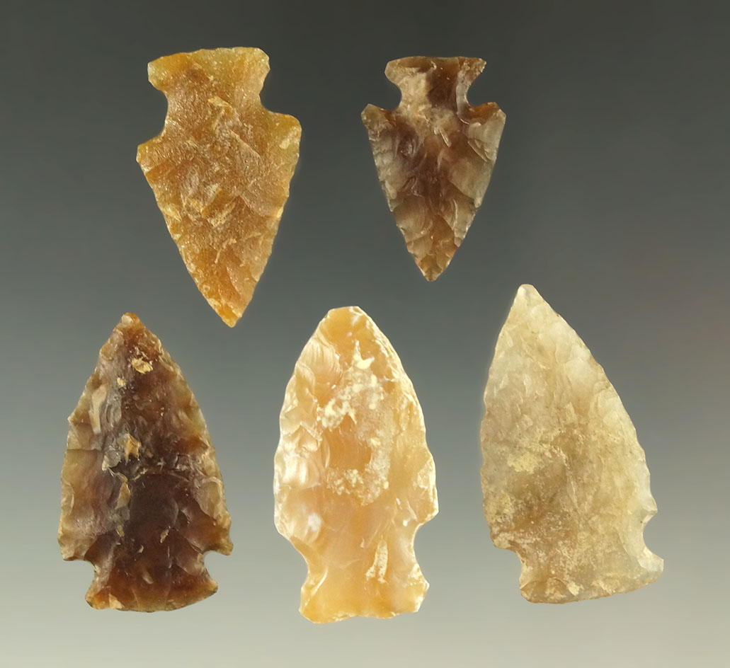Set of five assorted arrowheads found in the Dakotas, largest is 1 7/16".