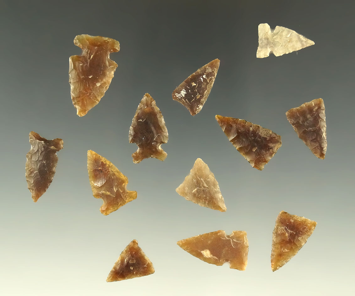 Set of 12 assorted arrowheads found in the Dakotas area, largest is 15/16".