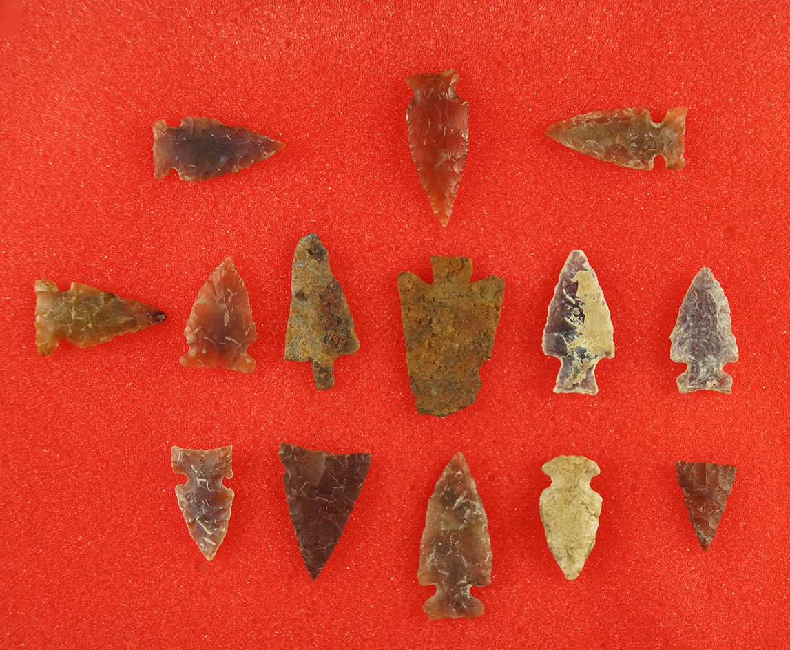 Set of 14 Plains area arrowheads, two are metal. Largest is 1 1/4".
