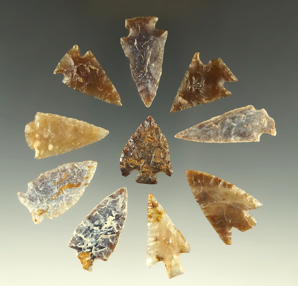 Set of 10 arrowheads found in the Dakotas, largest is 1 3/8".