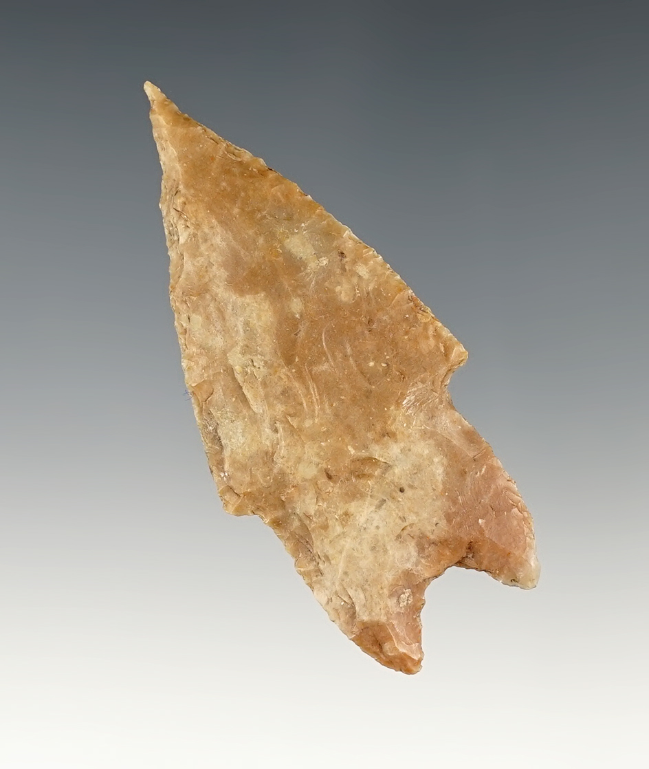 2 9/16" Pedernales with a sharp needle tip. Found in Real Co., Texas. Comes with a Rogers COA.