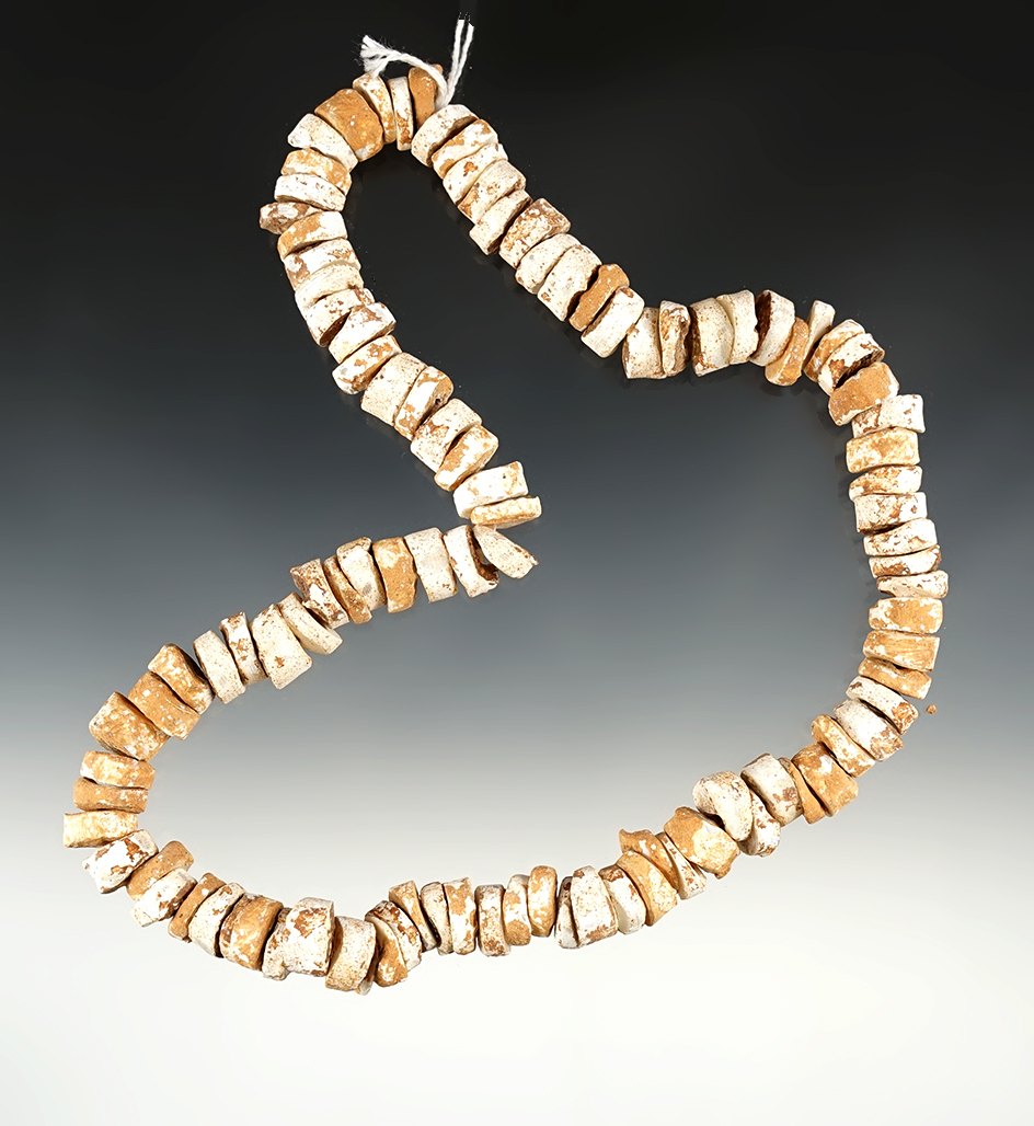 Nice 20" Strand of Shell Beads found in Mendota, Virginia.