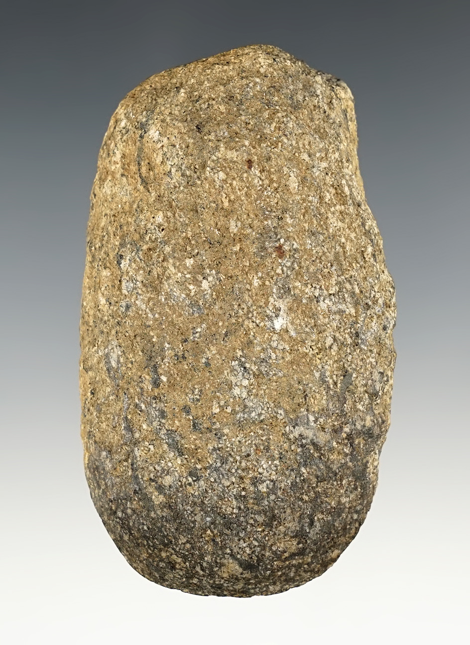 3 1/2" Hardstone Adze found in Massachusetts. Comes with an early collectors cardboard tag.