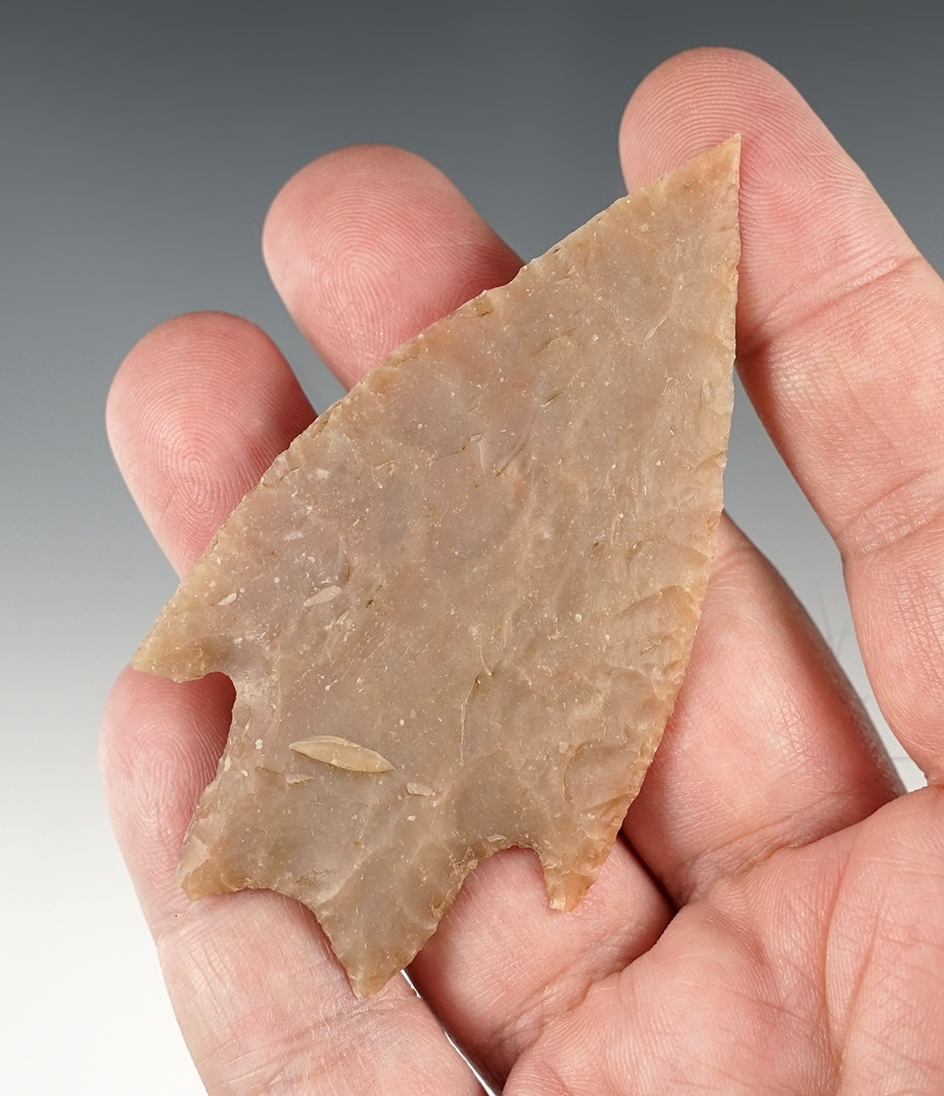 Superb 3 5/16" Marshall found in Edwards Co., Texas. Thin with outstanding flaking.  Rogers COA.