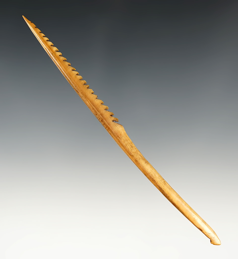 Excellent serrations on this 5 1/2" Harpoon Tip found in Alaska.