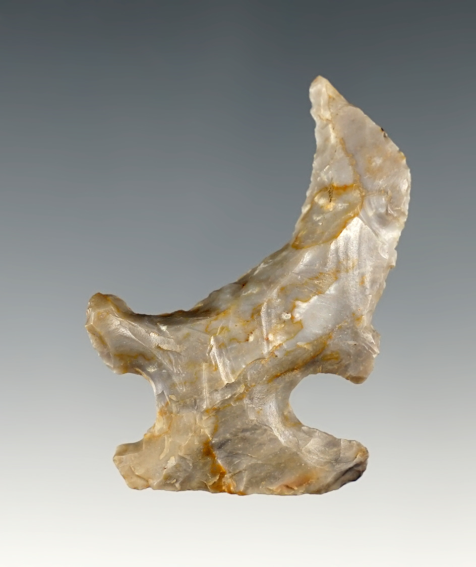 Superb!  2" Hafted Shaft Scraper found on the Bob Evans Farm in Bidwell, Gallia Co., Ohio in 1992.