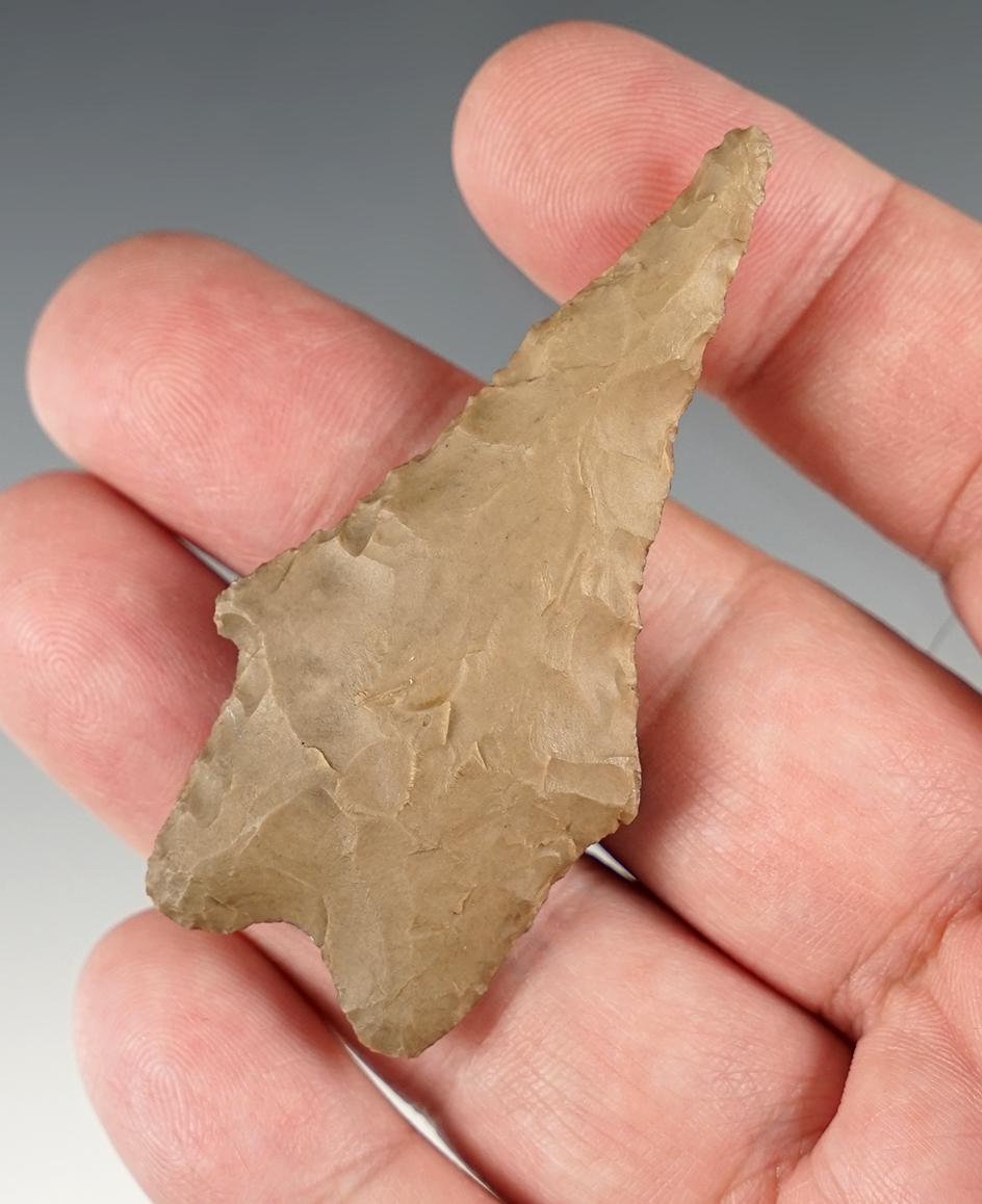 2 9/16" Texas Pedernales that has been anciently resharpened into a Drill. Ex. Taggart, Jon Dickinso