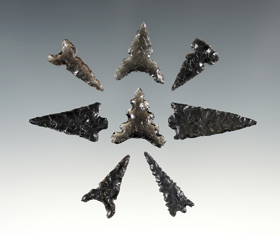 Set of 8 Obsidian points found in New Mexico. The largest is 1 3/8".