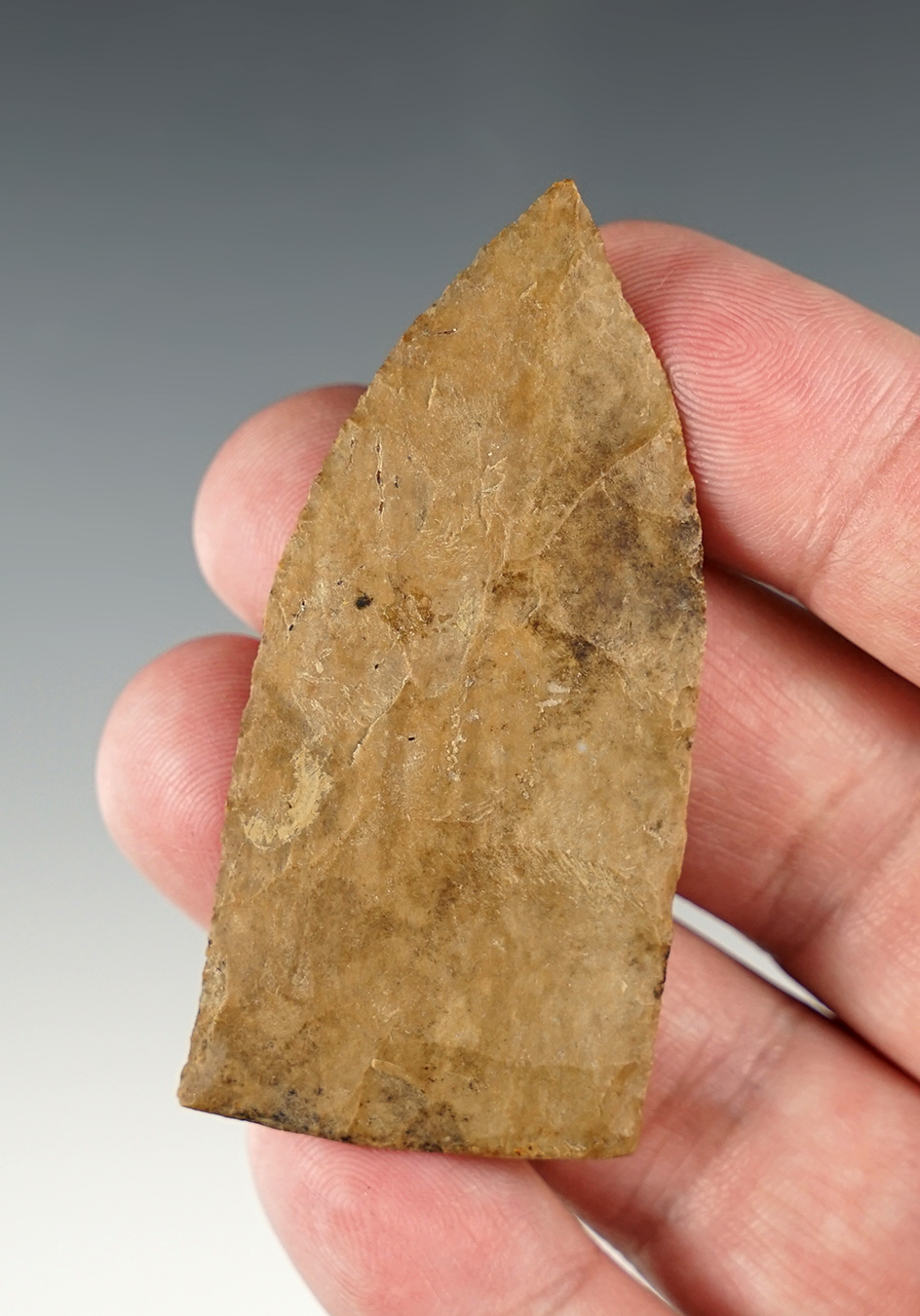 2 1/2" Creek stained Copena found in Lauderdale Co., Alabama with great patina.